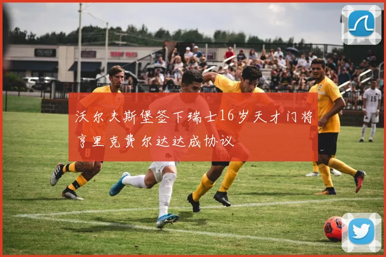 沃尔夫斯堡签下瑞士16岁天才门将亨里克费尔达达成协议